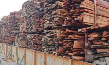 Polícia Militar apreende 400 metros cúbicos de madeira de origem irregular no Careiro da Várzea  