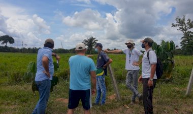 Ações do Idam em Autazes levam capacitação e técnicas de cultivo a produtores familiares