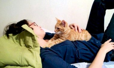 Por que os gatos fazem massagens com as patas?