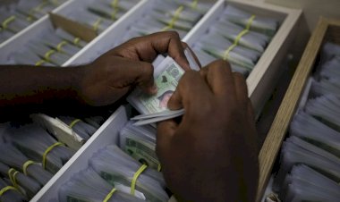 Detran faz mutirão de renovação de CNH em Manaus