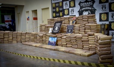 PC-Civil, deflaga operação e apreende 600 kg de maconha tipo skunk