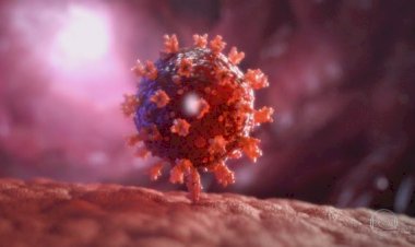 Governo do AM confirma caso de variante da Covid do Reino Unido em Manaus