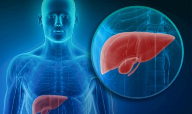 Estudo apoiado pela Fapeam investiga relação entre doença no fígado e infecção oral