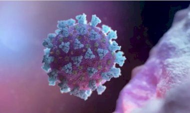 Cientistas identificam genes que aumentam as chances de desenvolver Covid-19