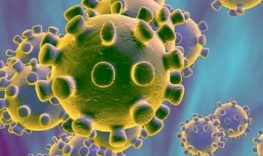 Maranhão já tem seis casos da variante indiana da Covid-19