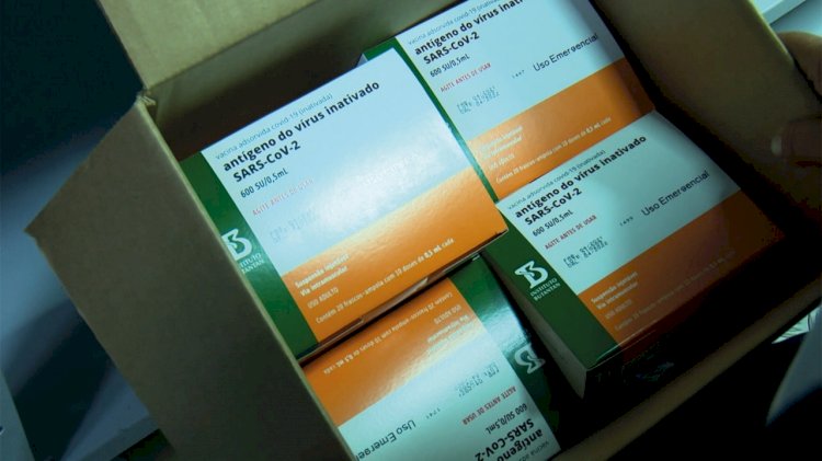 Amazonas recebe lote com 14.700 doses de vacina contra a Covid-19