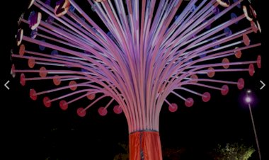 Prefeitura de Manaus entrega rotatória Umberto Calderaro Filho revitalizada