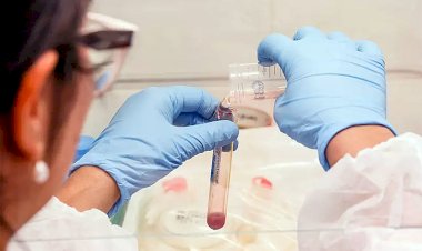 Cientistas já testam remédio anticovid; Brasil vai iniciar análise de dois soros