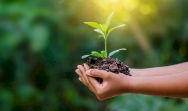 10 mandamentos para ajudar a Terra no dia do Meio Ambiente