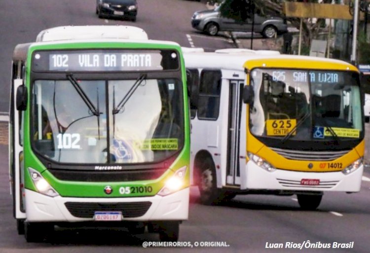 Retorno do funcionamento da frota de ônibus coletivos