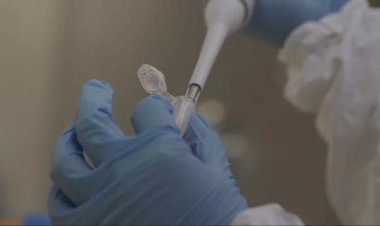 São Paulo registra primeiro caso positivo para a variante Delta do coronavírus