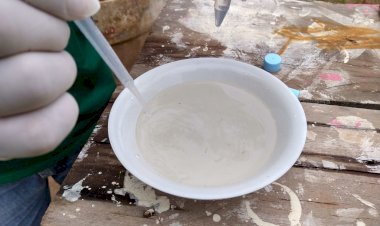 Vigilância em Saúde do Amazonas investiga casos de Febre Chikungunya em Tefé