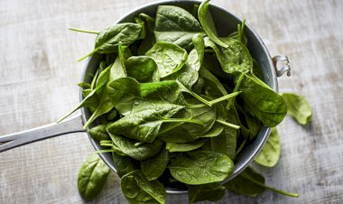 Espinafre é segredo para uma vida longa e saudável, apontam estudos