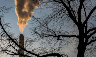 Amazonas adere à campanha global para zerar emissões de gases de efeito estufa até 2050