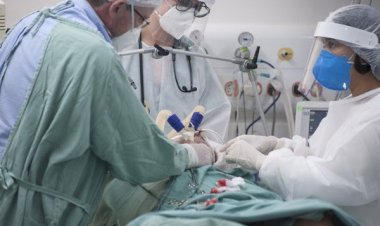 Bolsonaro vai ao STF contra lei que compensa profissional de saúde incapacitado por Covid