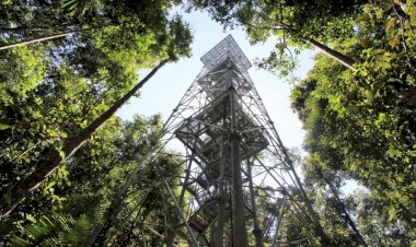 Feriado de 7 de setembro em Manaus: o que abre e o que fecha