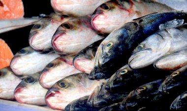 Vigilância em Saúde do Amazonas registra mais um caso de rabdomiólise em Itacoatiara