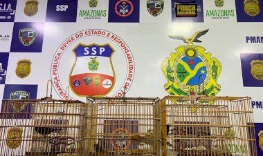 Agentes da Base Arpão apreendem pássaros silvestres, avaliados em R$ 60 mil, em embarcação oriunda de Cruzeiro do Sul (AC)