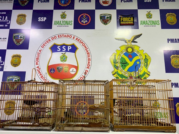 Agentes da Base Arpão apreendem pássaros silvestres, avaliados em R$ 60 mil, em embarcação oriunda de Cruzeiro do Sul (AC)