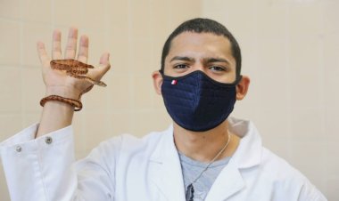 Pesquisador do Amazonas ganha Prêmio Capes de Tese 2021 com pesquisa sobre serpentes amazônicas