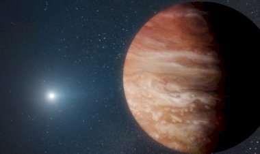 Planeta gigante orbitando estrela morta mostra o que pode acontecer após sol morrer