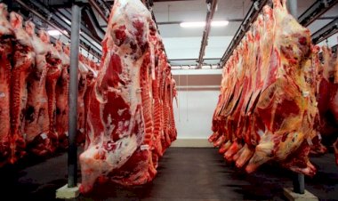 Chanceler pede a ministro chinês fim do veto à carne brasileira