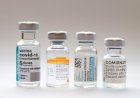 Reforço após 5 meses e novas doses da Janssen: veja tira-dúvidas sobre a vacinação contra a Covid