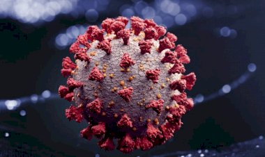 B.1.1.529: veja países onde a nova variante do coronavírus já foi detectada