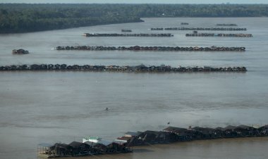 Wilson Lima confirma pedido de envio da Força Nacional de Segurança para região do rio Madeira