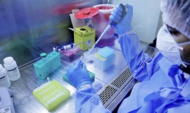 Variante Ômicron: o que se sabe sobre a nova linhagem do SARS-CoV-2