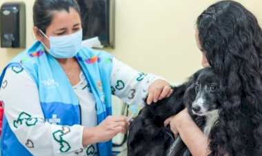 Prefeitura de Manaus abre pontos fixos para vacinação antirrábica que funcionarão até 31/12