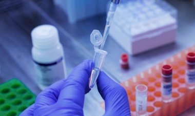 Primeira morte no Brasil pela variante Ômicron é registrada em Goiás