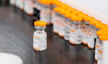 Crianças de 5 a 11 anos, com comorbidades e deficiências, começam a ser vacinadas contra a Covid-19 nesta segunda, 17