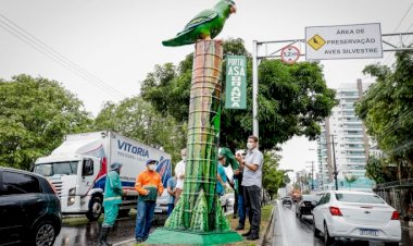 Prefeitura de Manaus cria zona de controle para proteger periquitos-de-asa-branca