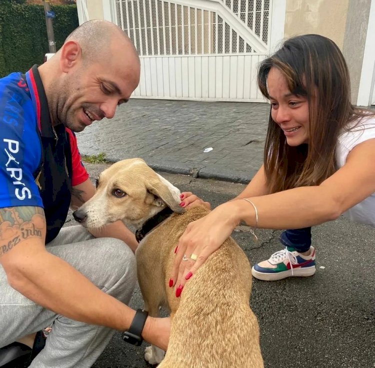 Cachorra Pandora é encontrada depois de 45 dias e devolvida ao dono neste domingo em Guarulhos, na Grande SP