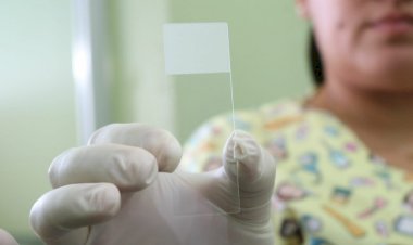 Governo do Amazonas vai implantar Serviço de Verificação de Óbito no estado