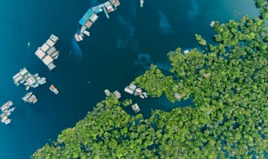 Organizações da Amazônia têm até 31 de março para se inscrever no programa BTG Soma Meio Ambiente