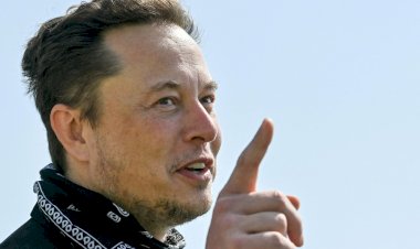Ações do Twitter disparam após Musk assumir compra de 9,2 por cento da rede social