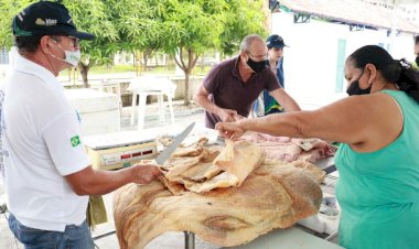 Feirão do Pescado Semana Santa 2022 acontece de 13 a 15 de abril, em três pontos da capital