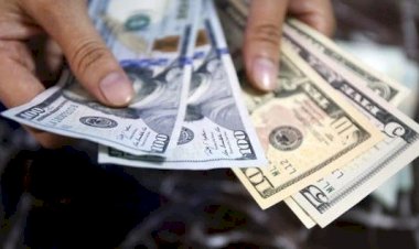 Ibovespa fecha em queda de 0,45% com mercado digerindo IPCA; dólar cai a R$ 4,71