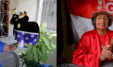 Parintins 2022: apaixonados por Caprichoso e Garantido celebram retorno do festival após dois anos de saudade