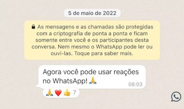 WhatsApp começa a liberar reações com emojis para usuários