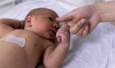 Cientistas descobrem marcador sanguíneo que identifica risco de morte súbita de bebês