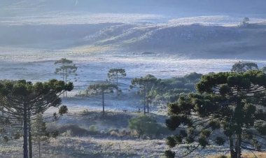 Sul tem neve e temperaturas negativas já nesta terça; termômetros despencam no Sudeste e Centro-Oeste