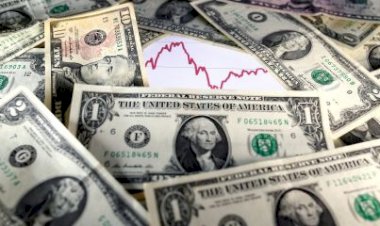 Dólar mais caro faz busca pela moeda cair 25% no Brasil