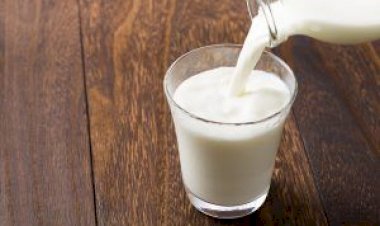 Menor oferta e aumento de custos elevam preço do leite para produtores e consumidores