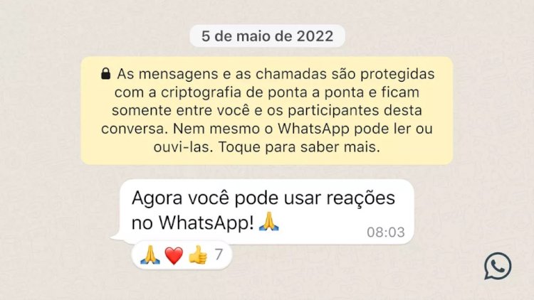 WhatsApp começa a liberar reações com emojis para usuários