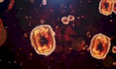 Após registro em SP, Saúde investiga 7 casos suspeitos de varíola dos macacos no Brasil