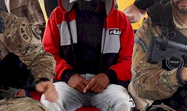 Irmãos confessam assassinato de Bruno Pereira e Dom Phillips na Amazônia, dizem fontes da PF