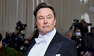 Elon Musk, Tesla e SpaceX são processados por suposto esquema de pirâmide com criptomoeda Dogecoin